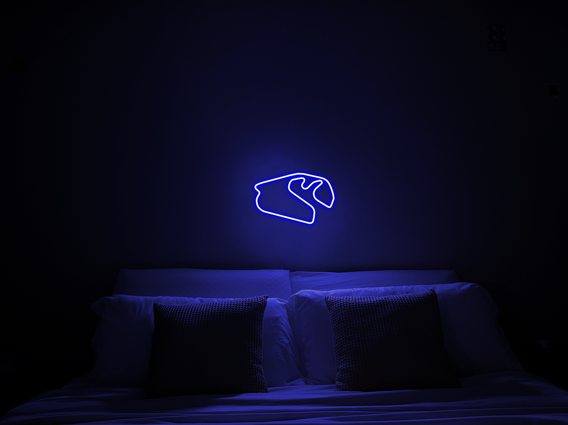 Lucid™ LED Neon Accessories